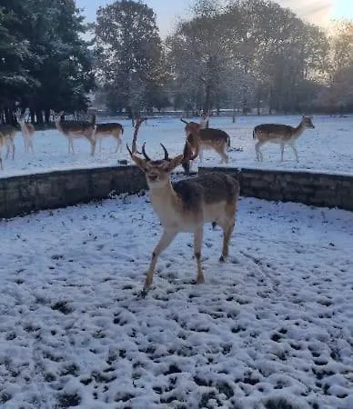 Bel Dans Un Manoir Fleury-sur-Orne