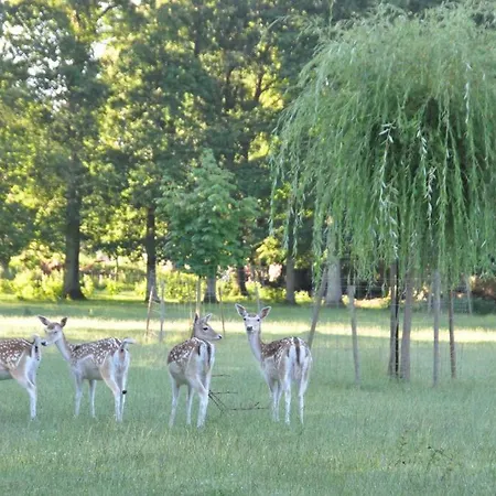Bel Dans Un Manoir Fleury-sur-Orne